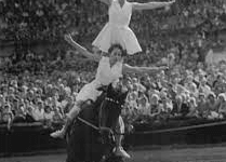 What Is The History Of Equestrian Vaulting?