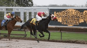 What Is Thoroughbred Horse Racing, And How Is It Different From Other Forms Of Horse Racing?