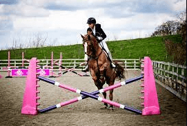 What Is The History And Origin Of Pole Bending As A Competitive Equestrian Sport?