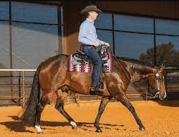 What Role Does The Rider's Communication And Cues Play In Successfully Completing The Pole Pattern?