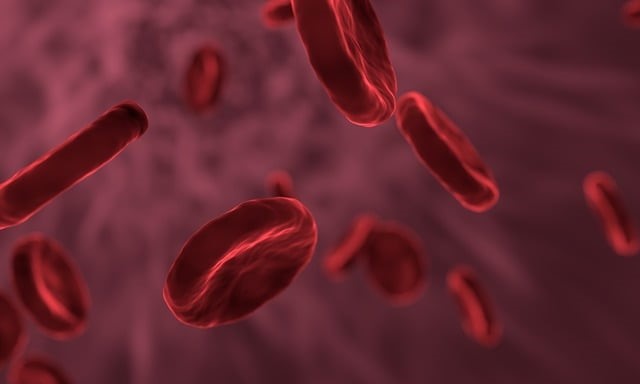 Blood Cleanup Process in Cincinnati