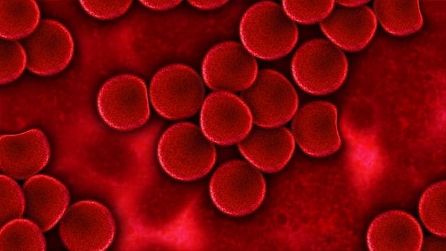 Blood Cleanup Process in Cincinnati