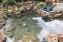 Lake Water