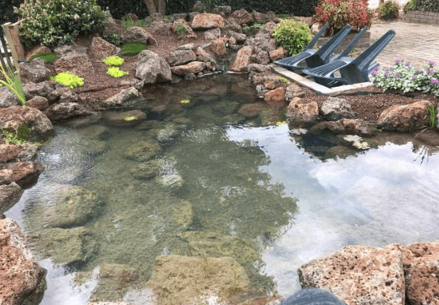 Lake Water