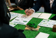 Driving Sustainable Growth in Australia: The Growing Role of Sustainability Consulting Firms