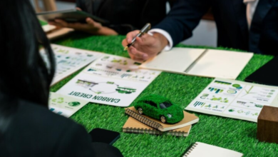 Driving Sustainable Growth in Australia: The Growing Role of Sustainability Consulting Firms