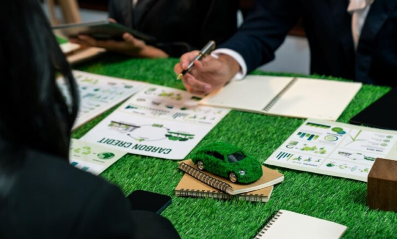 Driving Sustainable Growth in Australia: The Growing Role of Sustainability Consulting Firms
