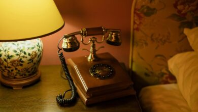 immediate service contact number