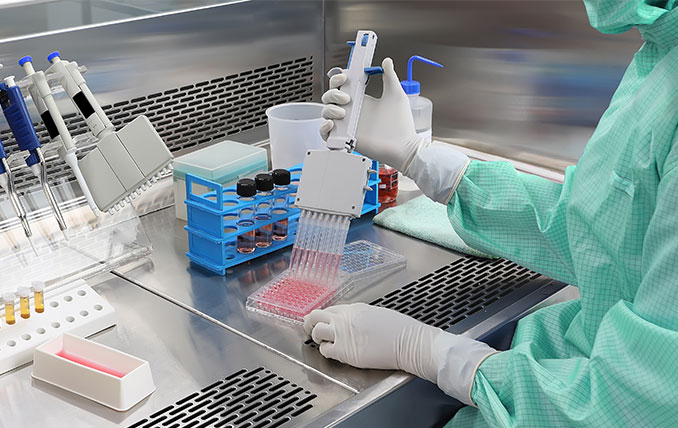 Essential Human Cell Lines in Biomedical Research