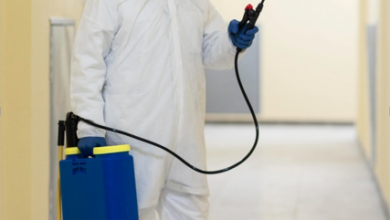 Pest Control for Short-Term Rentals: Avoiding Termite Damage Between Guests