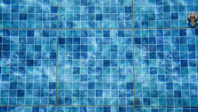 What to Know Before Starting Pool Construction Near Me