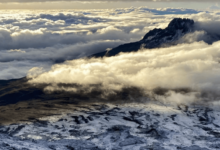 The Grace of Endurance: What Kilimanjaro Teaches About Strength With Honour