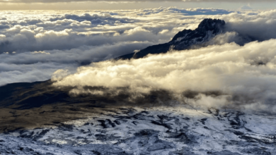The Grace of Endurance: What Kilimanjaro Teaches About Strength With Honour