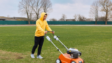 Lawn Landscaping – Transforming Outdoor Spaces into Green Retreats