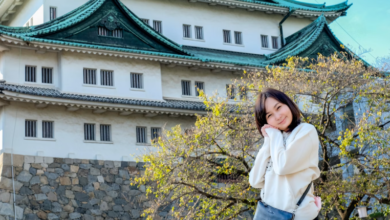 Top 3 Nagoya Travel Attractions Nobody Should Miss