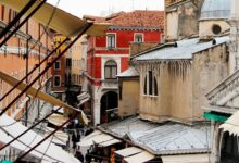 market analysis and trends