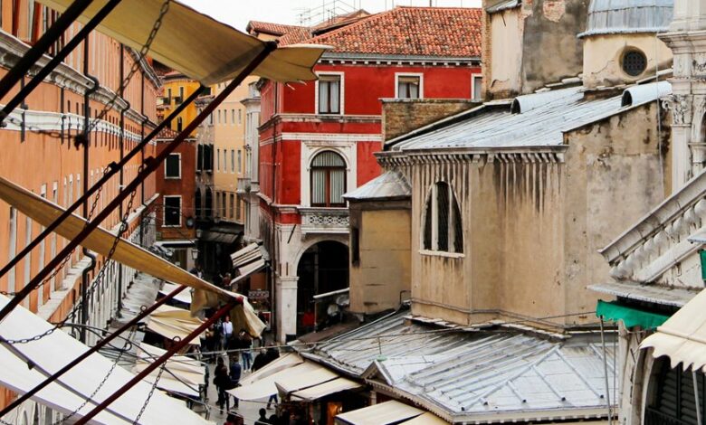 market analysis and trends