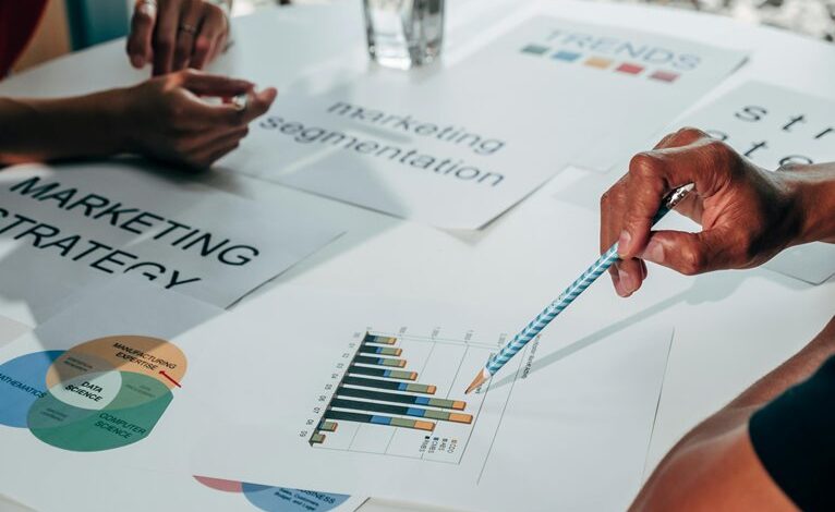 audience maximizer marketing plan