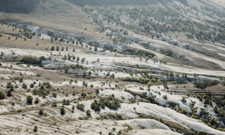 bold approaches begin across changing landscapes