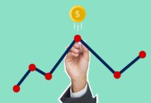 dynamic growth starts driving success