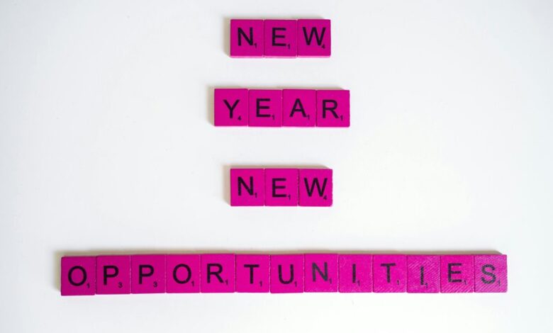 dynamic ideas identify emerging opportunities