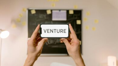 dynamic leadership across ventures