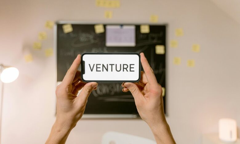 strategic growth for innovative ventures