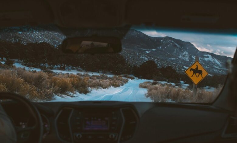 trailblazing drive toward meaningful outcomes