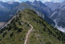 trailblazing progress with creative solutions