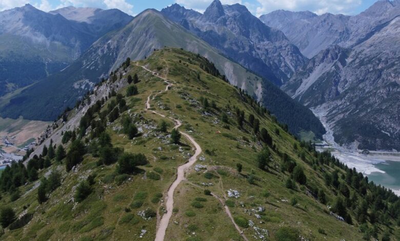 trailblazing progress with creative solutions