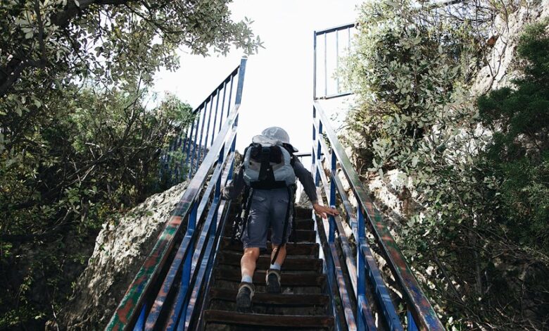 trailblazing steps driving global opportunities