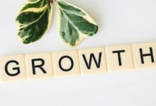 vision forward start sustainable growth