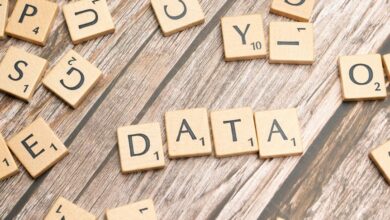 call data integrity scan details
