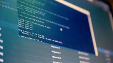 network ip analysis details 124 105 5 80