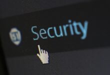 technical entry check usernames and id