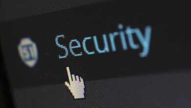 technical entry check usernames and id