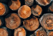 advanced systems authentication log identifiers