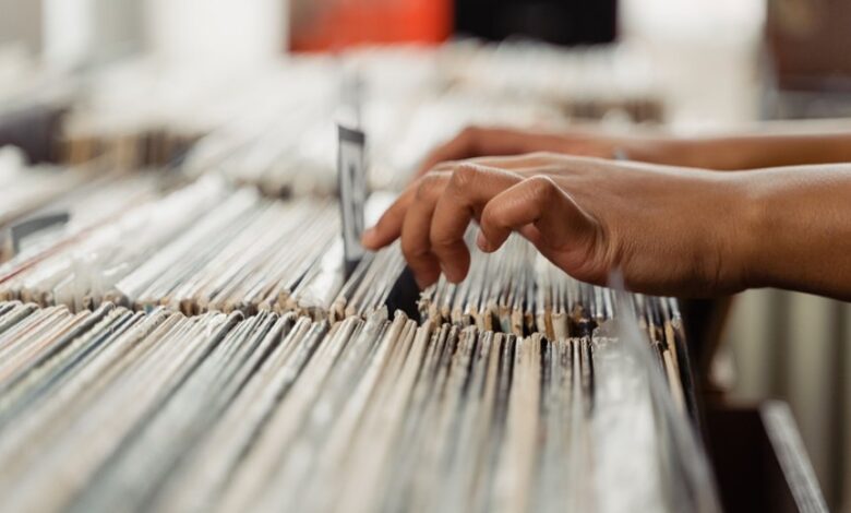 check number search records list
