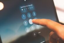 phone numbers list discovery brief