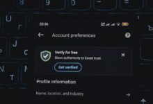 phone verification numbers list