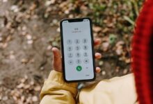 recent scammer phone numbers listed
