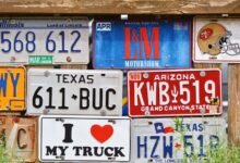 registered numbers multiple identifiers listed